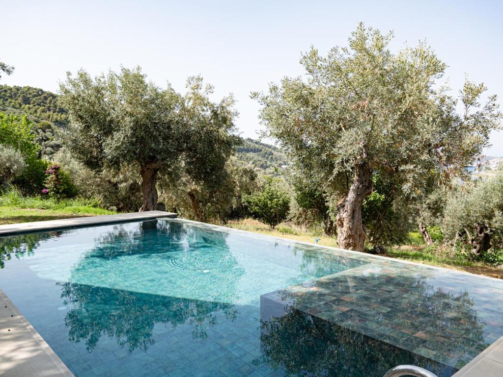 Dohos Skiathos Suites Ksanemos Bagian luar foto